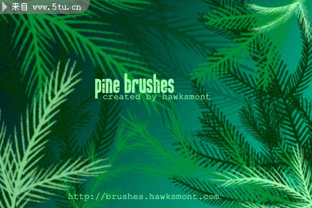 pine-brushes-by-hawksmont.jpg
