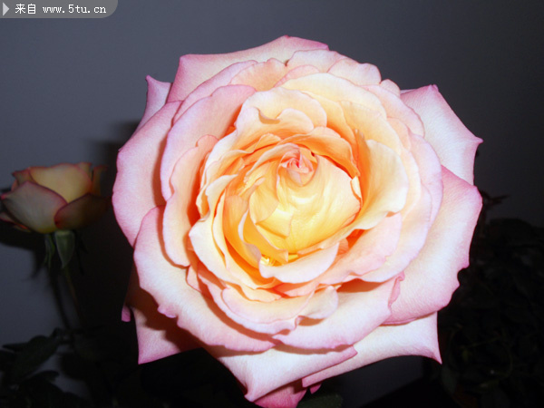 �¼��� 010-1.jpg