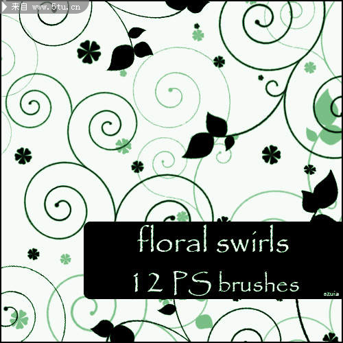 floral_swirls_brushes_by_szuia.jpg