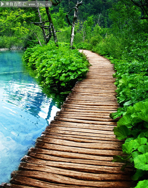 ��Ȼ�羰_fl.jpg