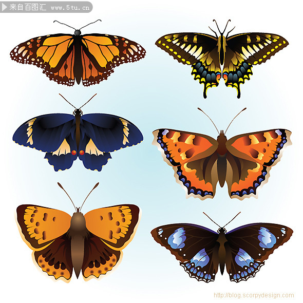 butterflies_preview.jpg