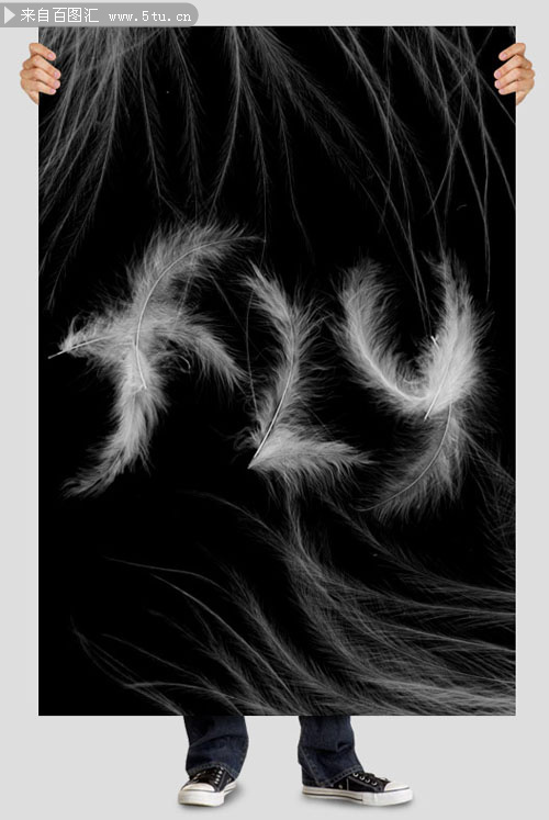 feather-poster.jpg