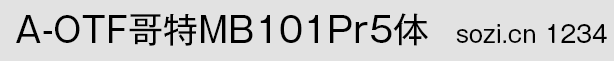 A-OTF����MB101Pr5��-СԤ��.gif