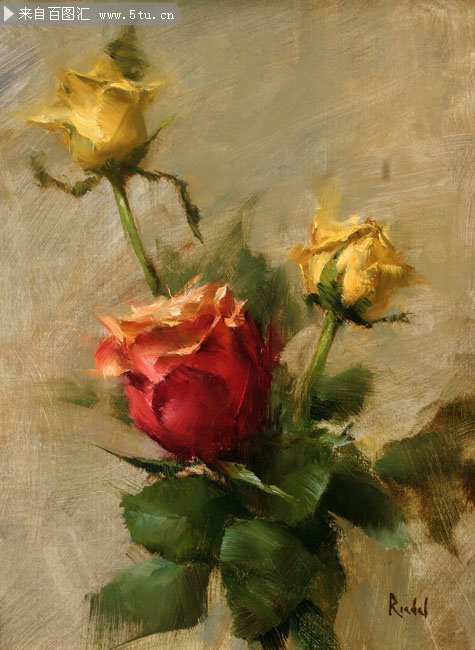 玫瑰花朵油画高清图片素材