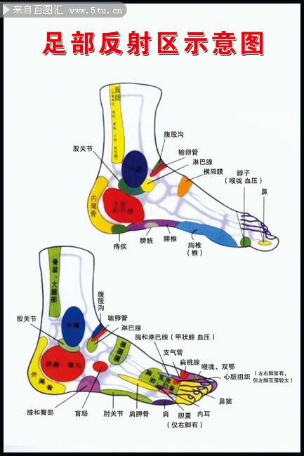 脚足部穴位图