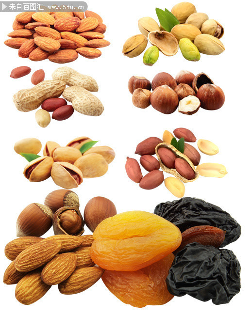坚果大全图片