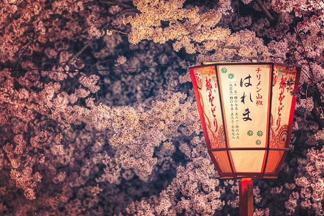 49张日系风景素材图片打包下载