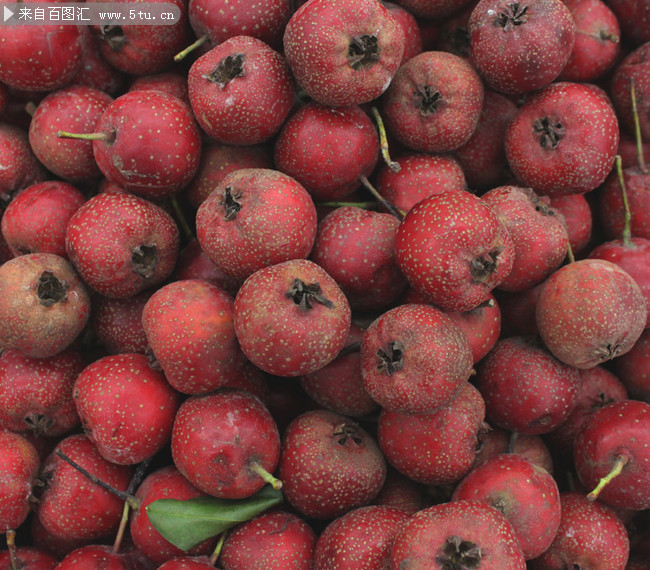 一堆山楂图片