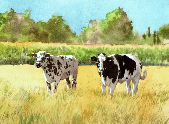 水彩奶牛.jpg