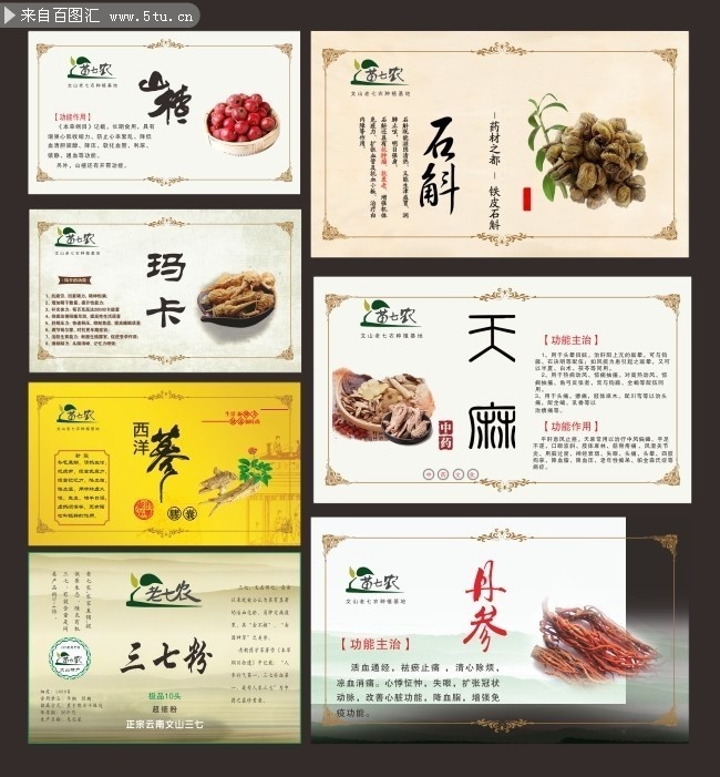 中药知识卡片设计图片素材