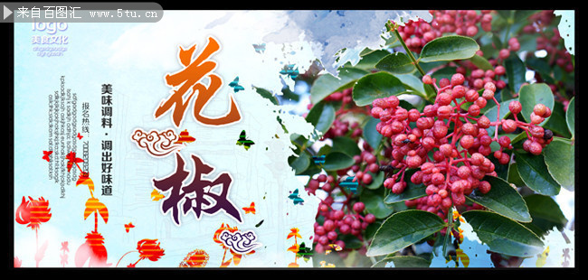 花椒食材宣传图片素材