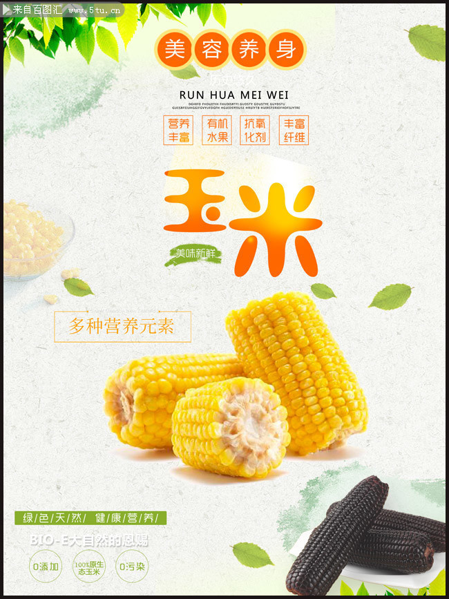 有机蔬菜玉米宣传海报图片素材
