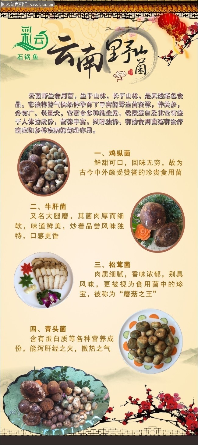 云南野山菌展架图片素材