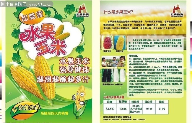 水果玉米宣传单页图片