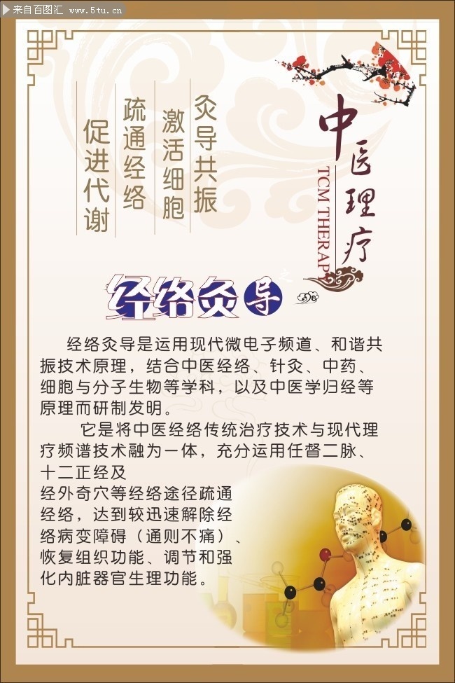 中医理疗宣传展板图片