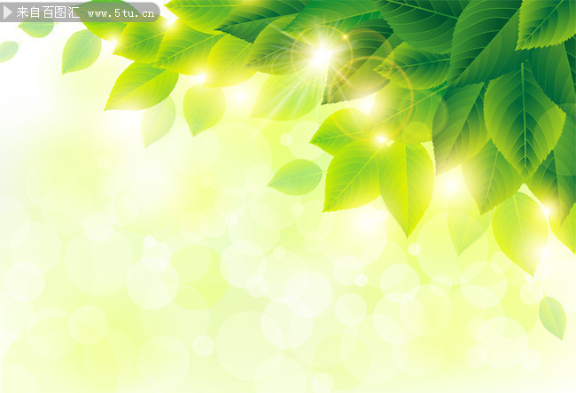 绿叶叶子矢量图片素材