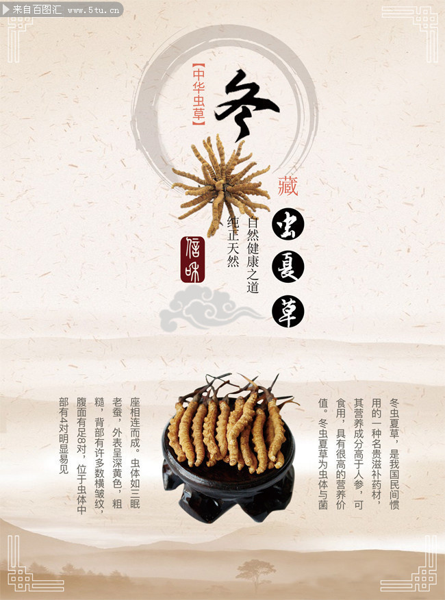 冬虫夏草中草药宣传海报图片