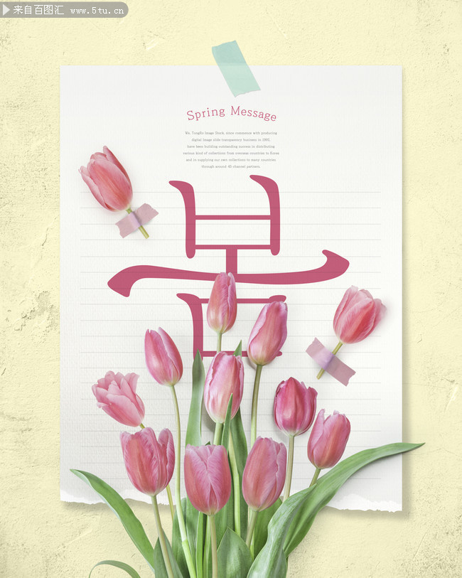 粉色郁金香海报图片下载