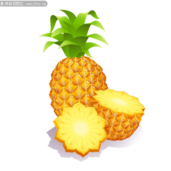 菠萝矢量图素材