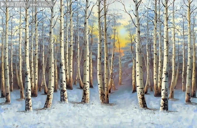 冬天白桦树风景背景装饰画图片-原创设计素材交易-百图汇设计素材