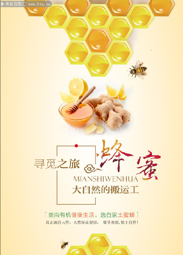 蜜蜂的宣传标语图片
