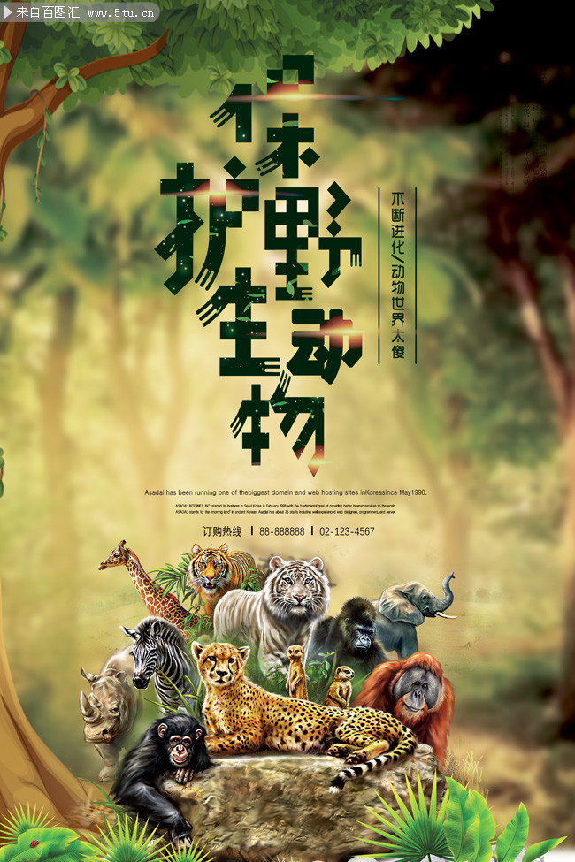 保护野生动物海报图片素材