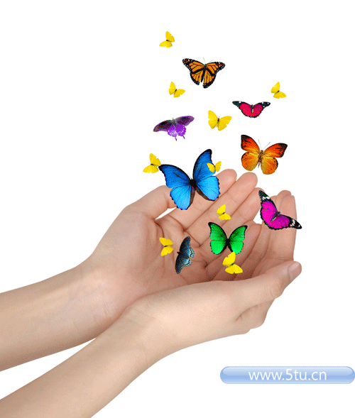创意手形与彩色蝴蝶 高精jpg 3400x2200左右