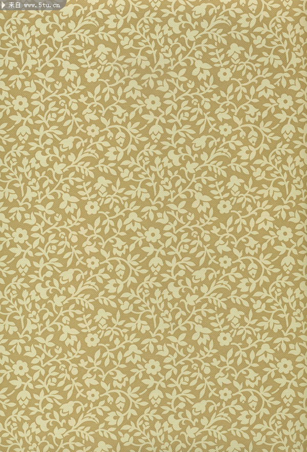 华丽花纹纹理溶图高清晰图片素材