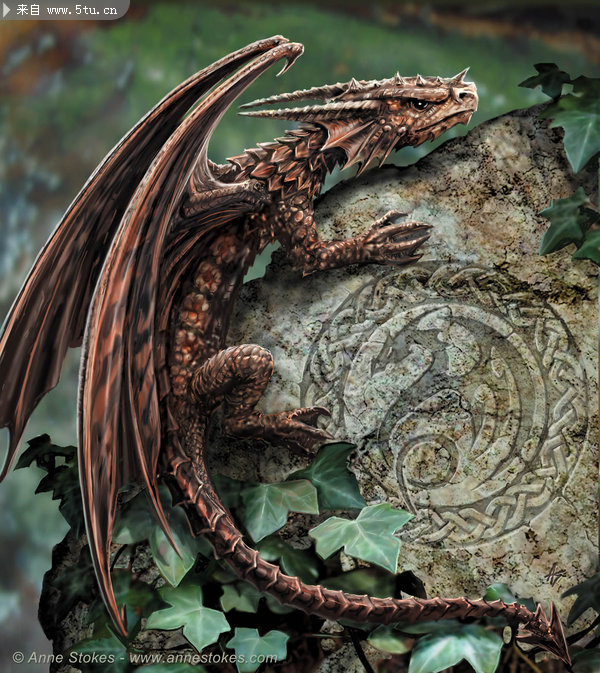 15个西方龙插画