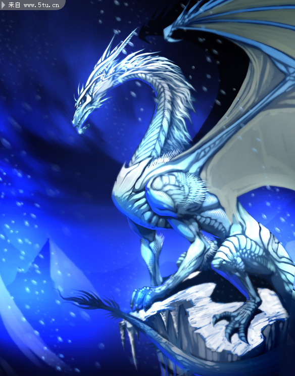 15个西方龙插画-原创鼠绘/手绘作品-百图汇设计素材