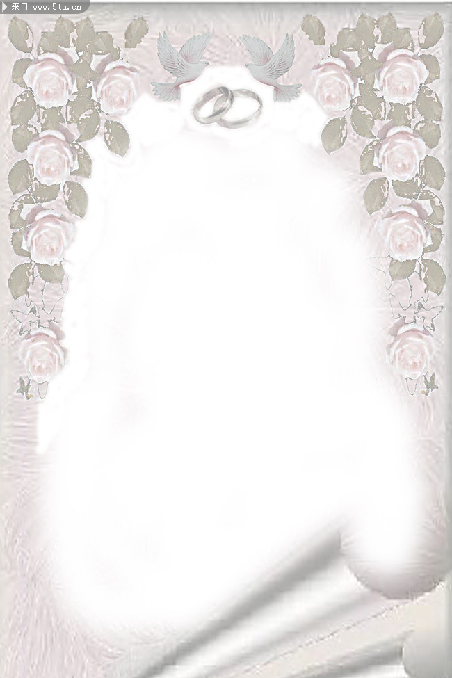 7款淡雅欧式风格婚纱模板