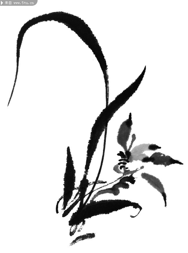 20张国画水墨兰花高清图片-高清图片-百图汇设计素材
