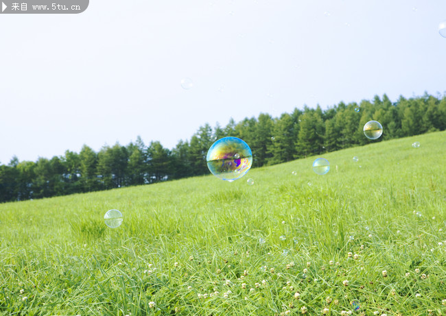 树木,蓝天,气泡,大自然,草地,壁纸,高清大图