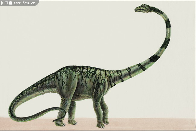 难得的高清恐龙插画10张