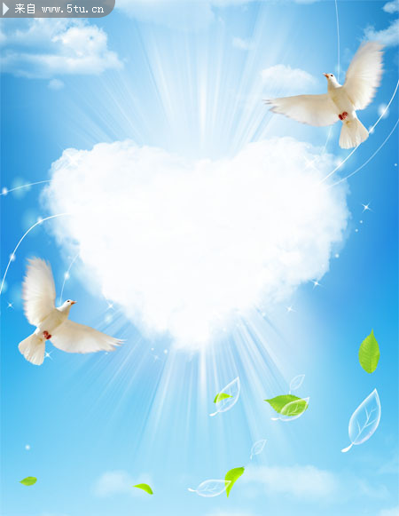 爱心云与白鸽