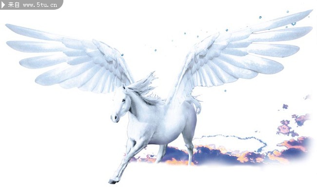 飞马高清图片 动物素材