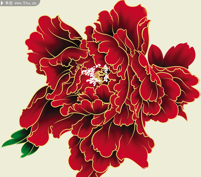 牡丹花-高清图片-百图汇设计素材