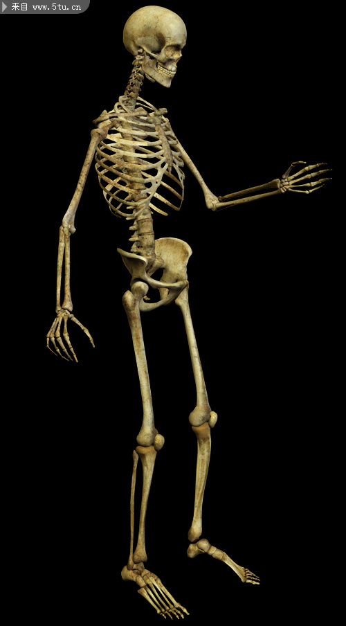 骷髅人psd素材12张