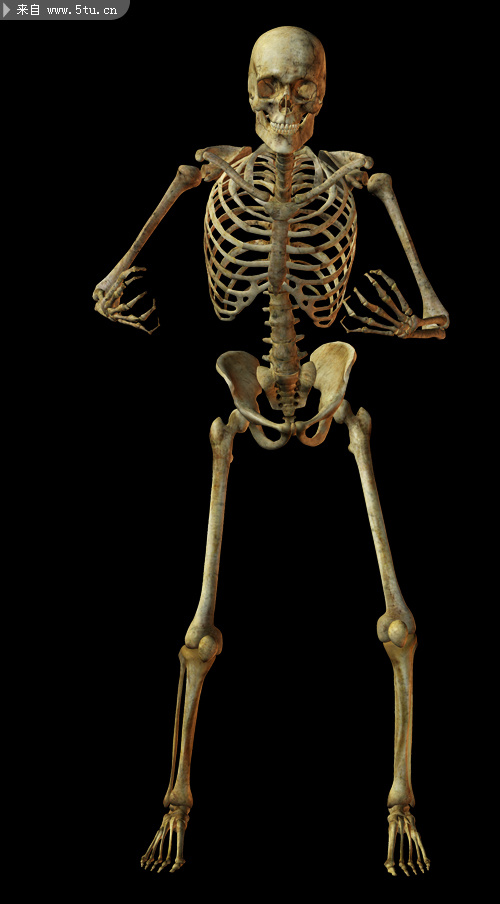 骷髅人psd素材12张