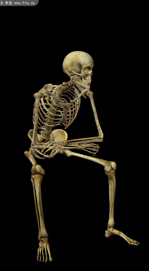骷髅人psd素材12张