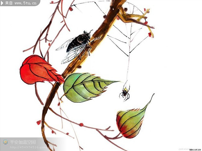 水墨画 知了 蝉画