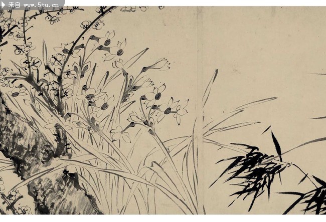 梅花水仙图 明代画家钱榖作品