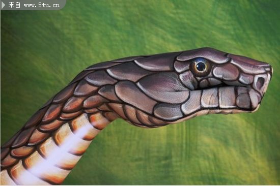 手型精美创意设计,没有创意你杀了我.