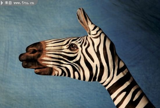 手型精美创意设计,没有创意你杀了我.