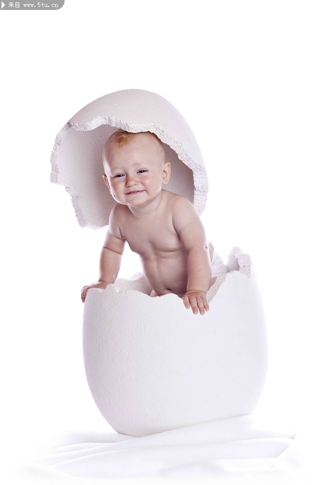 鸡蛋壳中的婴儿