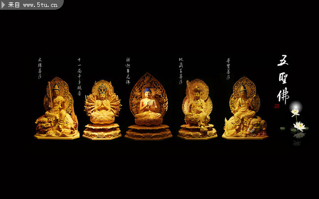 全泰五大佛祖图片