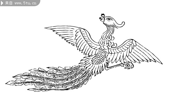 凤 的图案 矢量图