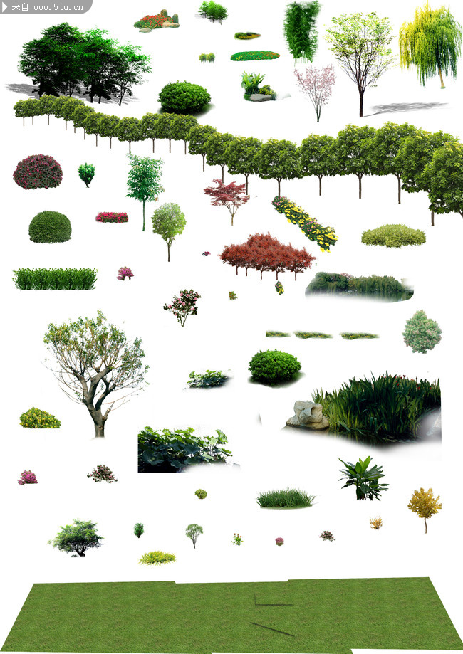 植物立面体psd-psd素材-百图汇设计素材