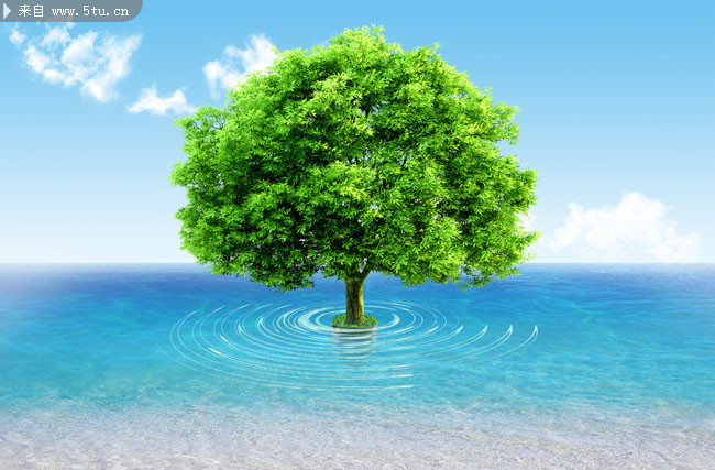 图片素材内容: ,海平面,海水,水波纹,蓝色海洋,绿色树木,海洋风光