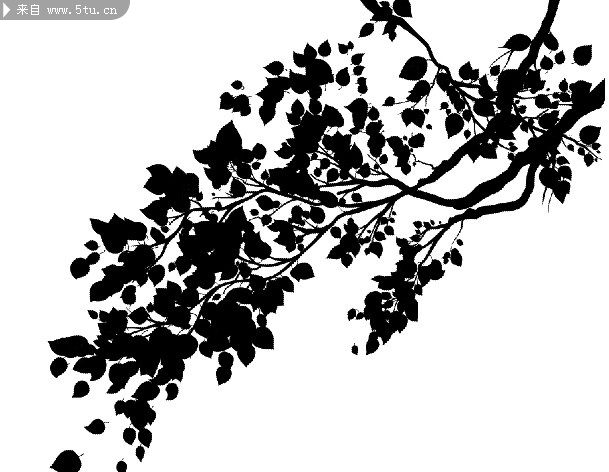 长满树叶的树枝ps笔刷